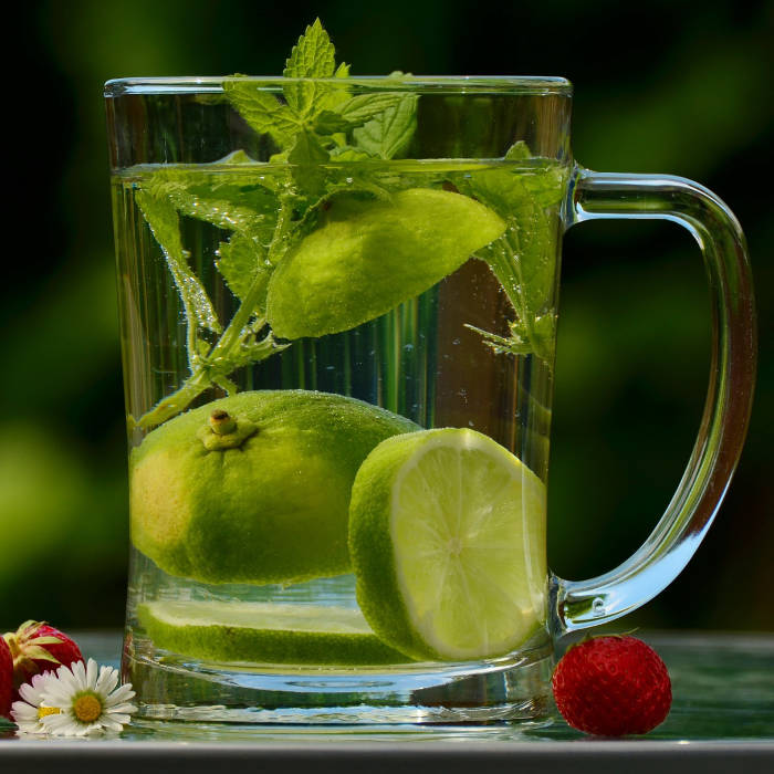 Enagic Kangen Water Tasting Charleston